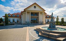 Palac W Konarach